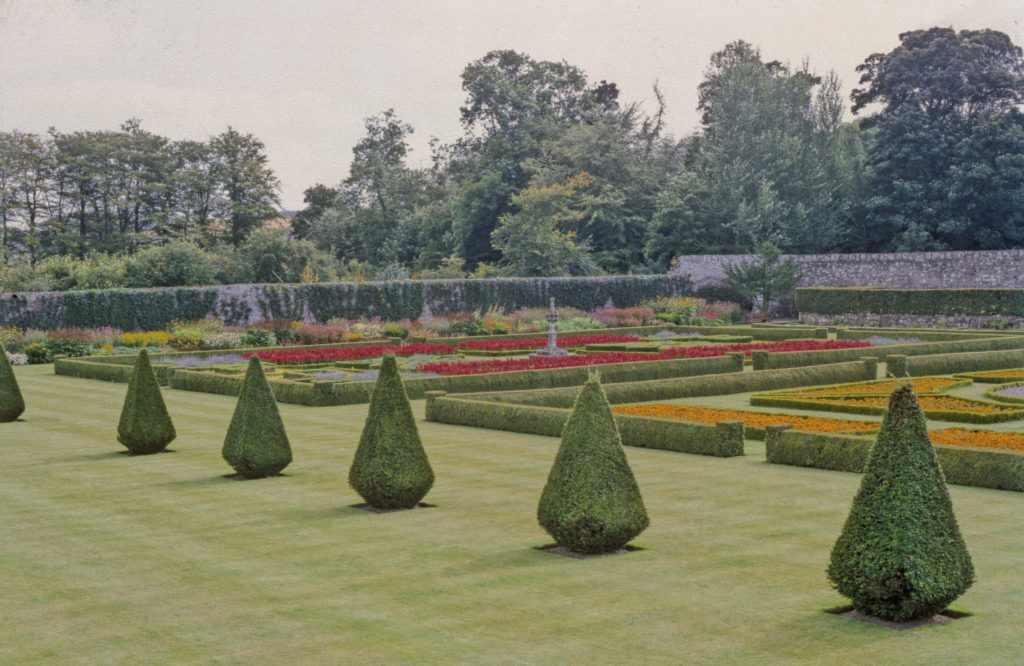 Image of a formal victorian garden with flower beds surrounded by low hedges, six diamond shaped topiary bushes in front.