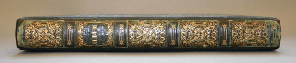 Image of a book with a decorative spine. The book title is 'Album'.