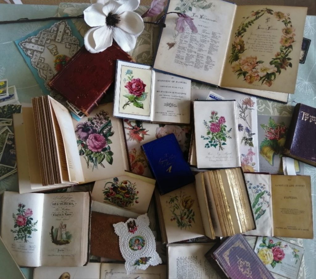 A selection of nineteenth-century language of flowers books and paraphernalia, largely centred on the rose. 
